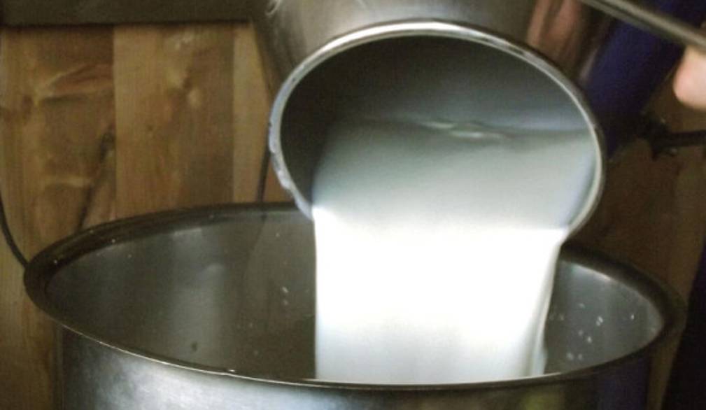 Via libera all'etichetta sull'origine del latte. Coldiretti esulta