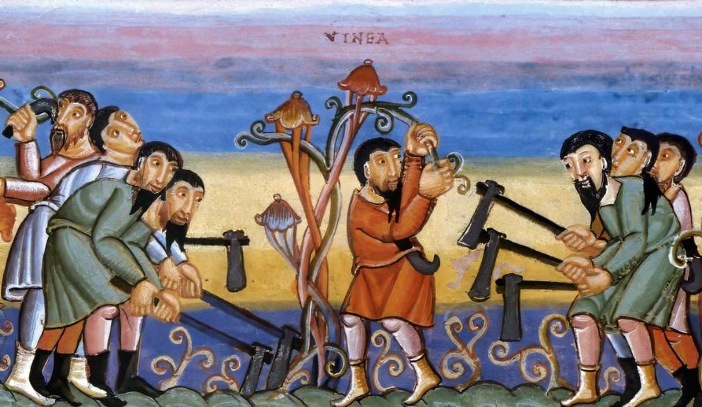 XXV Domenica del Tempo ordinario. La logica poco “economica” del Regno