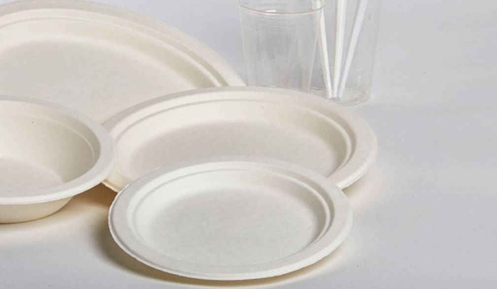 Plastica addio, l'esperienza di Dopla: "Il bio è una sfida ma la direttiva europea è spropositata"