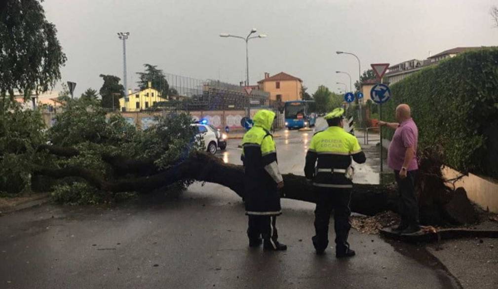Tornado sulle spiagge e nel Veneto Orientale, Zaia firma stato di crisi. Nessun ferito a San Donà