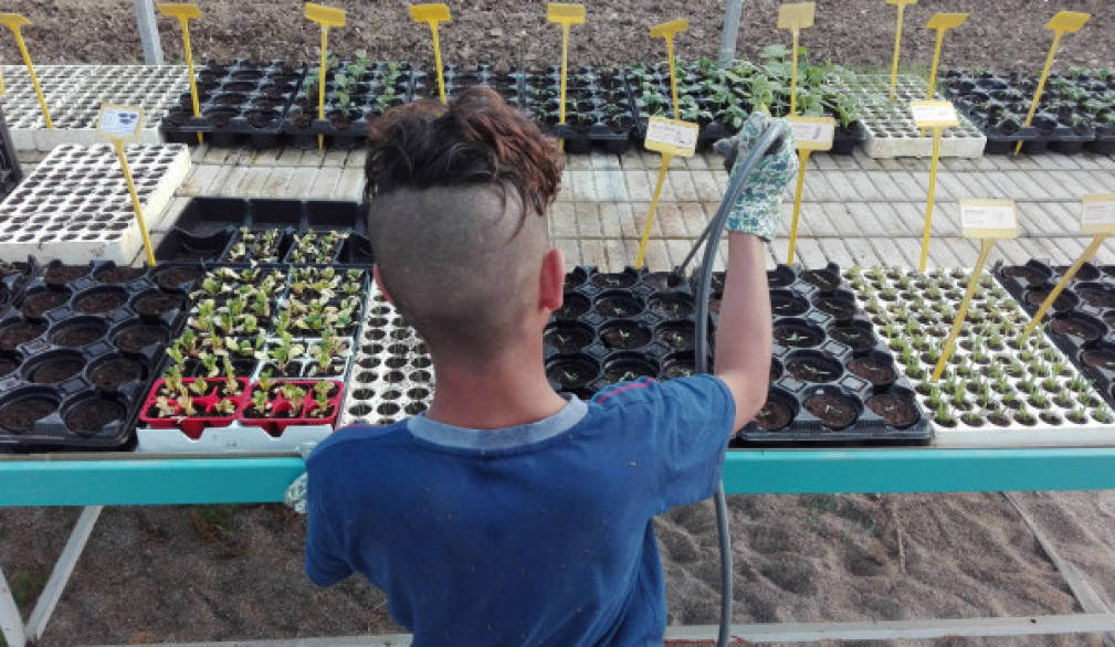 La storia: Dal lavoro in Guardia di finanza a quello di cura con i ragazzi