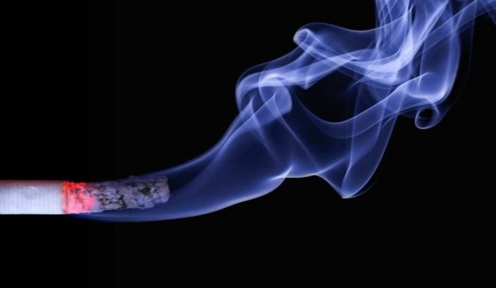 Giornata senza tabacco: nella Marca trevigiana il fumo causa il 30% delle morti premature