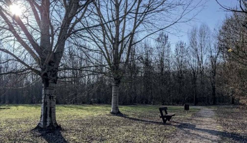 Dieci nuovi ettari di bosco diffuso a San Donà