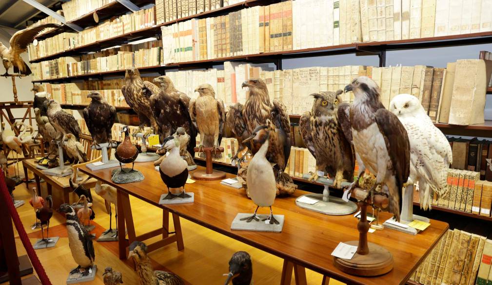 Un successo le visite delle scuole al Museo Scarpa