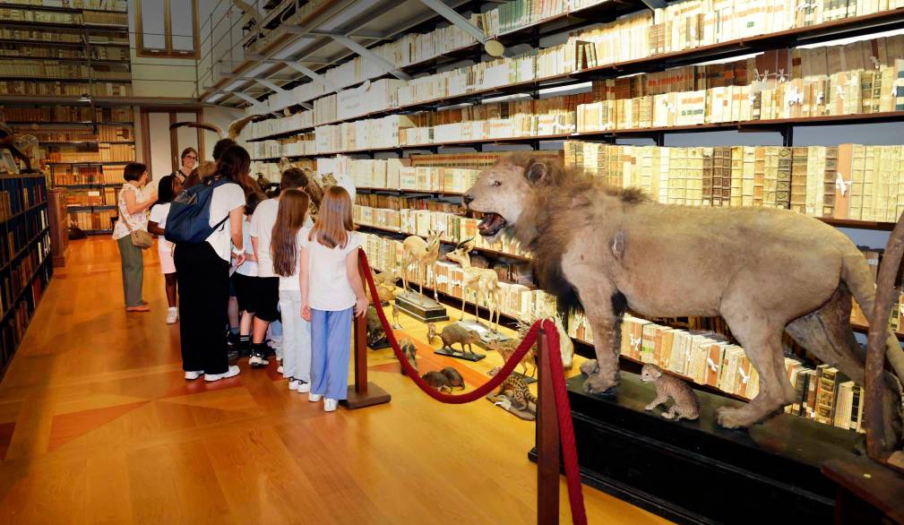 Un successo le visite delle scuole al Museo Scarpa