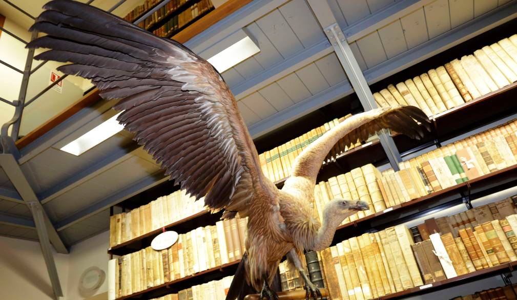 Un successo le visite delle scuole al Museo Scarpa