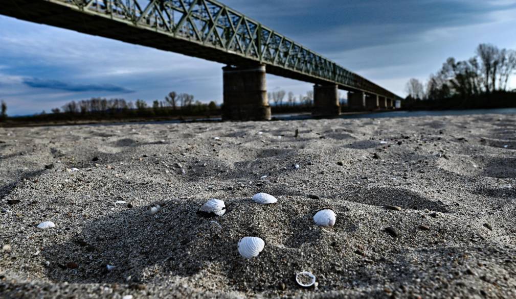 Il ponte della Becca alla confluenza del fiume Po e del suo affluente Ticino, del Parco del Ticino. Ponte della Becca (Pavia), 13 aprile 2023. ANSA/LUCA ZENNARO