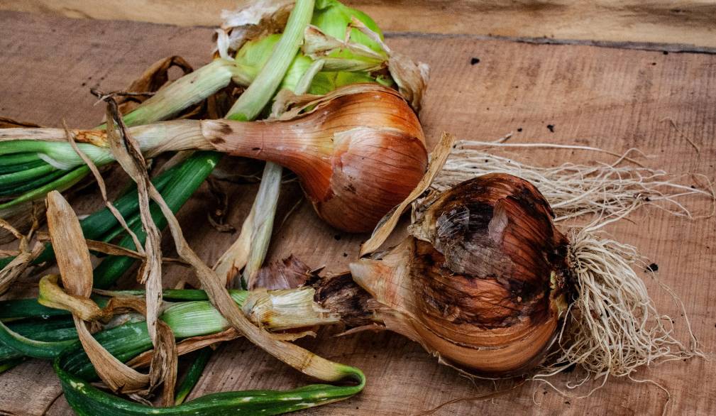 Lo spreco alimentare nelle case italiane vale 6,6 miliardi l’anno