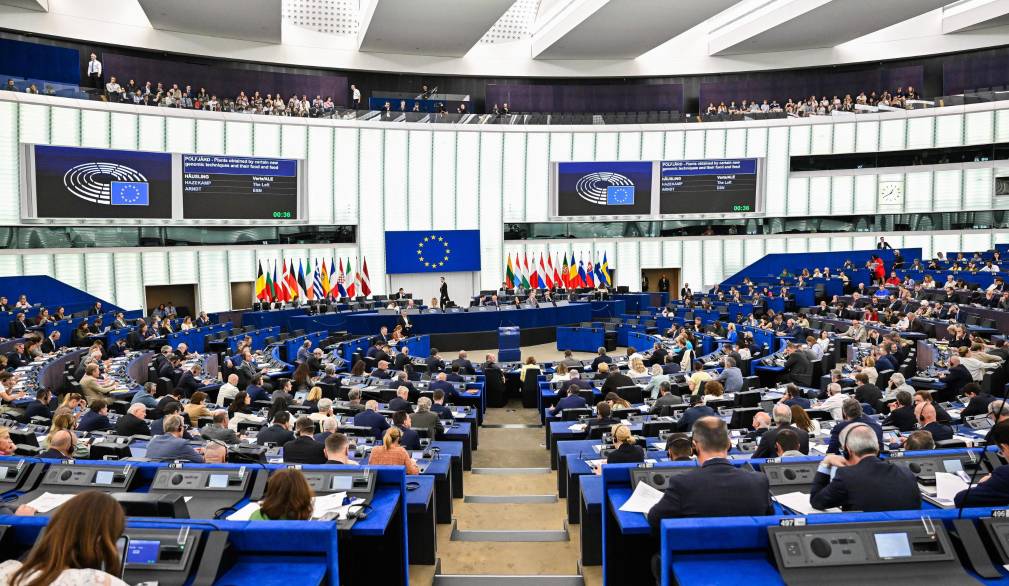 EP Plenary Session - Voting session