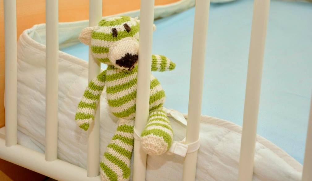 Giovani nella Marca Trevigiana in continuo calo (-1,3%)