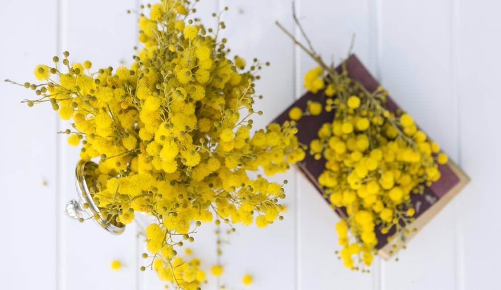 8 marzo: gli eventi nel territorio