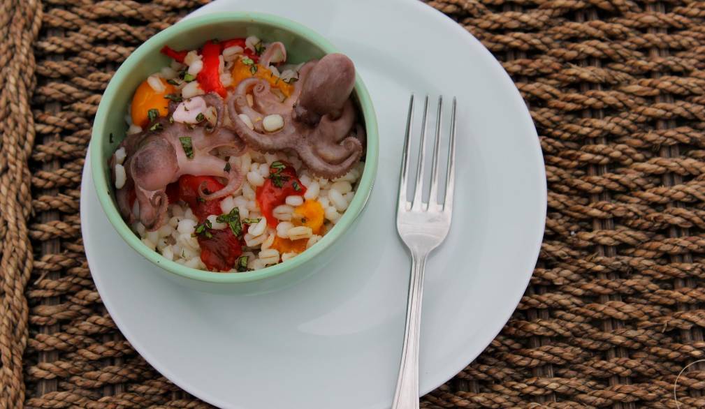 Agosto - Insalata di polpetti e orzo