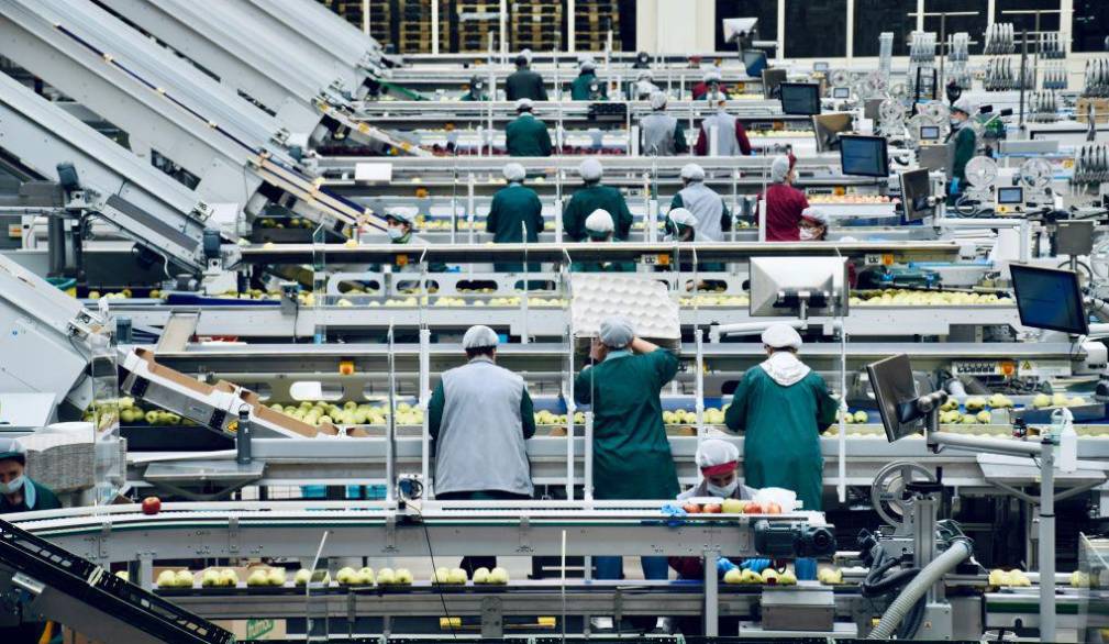 Nel 2025 in Veneto export a 49,4 miliardi, ma mancano i lavoratori