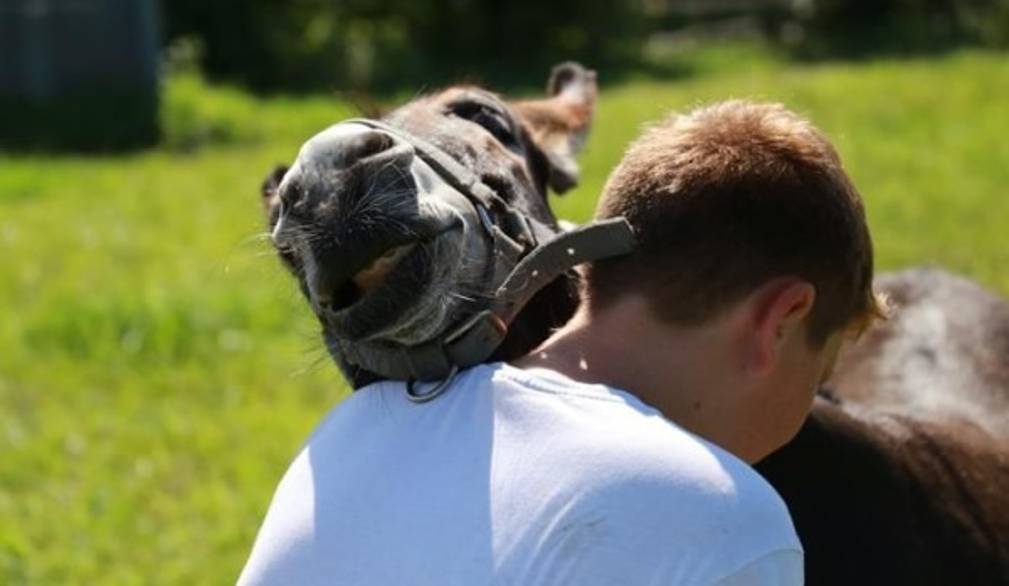 Adolescenti in difficoltà: progetto innovativo grazie alla pet therapy