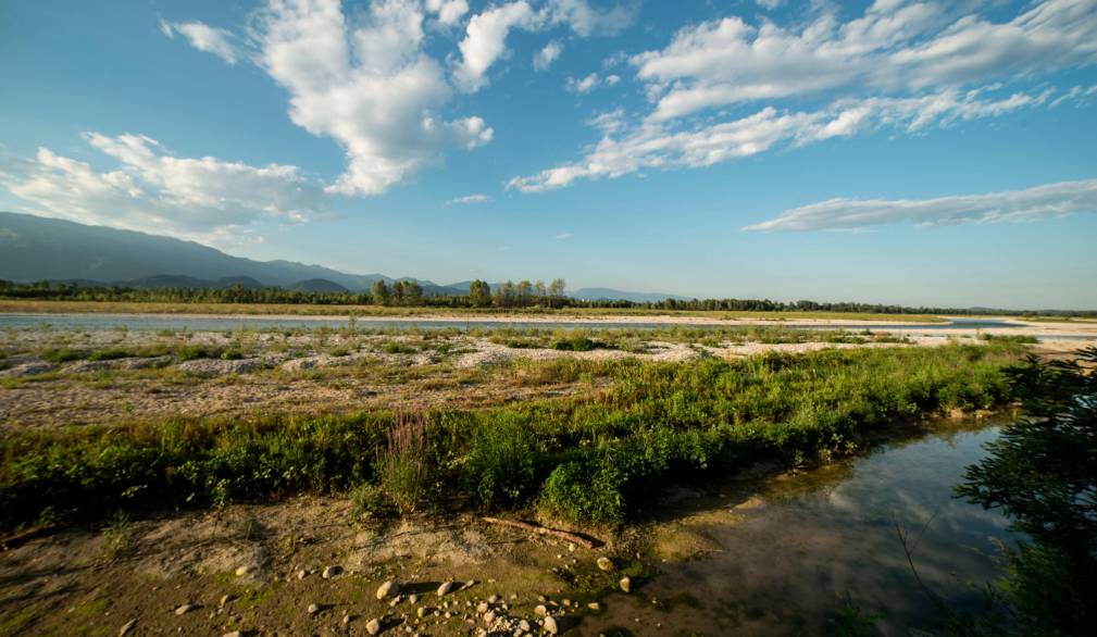 Piave: stop al bacino