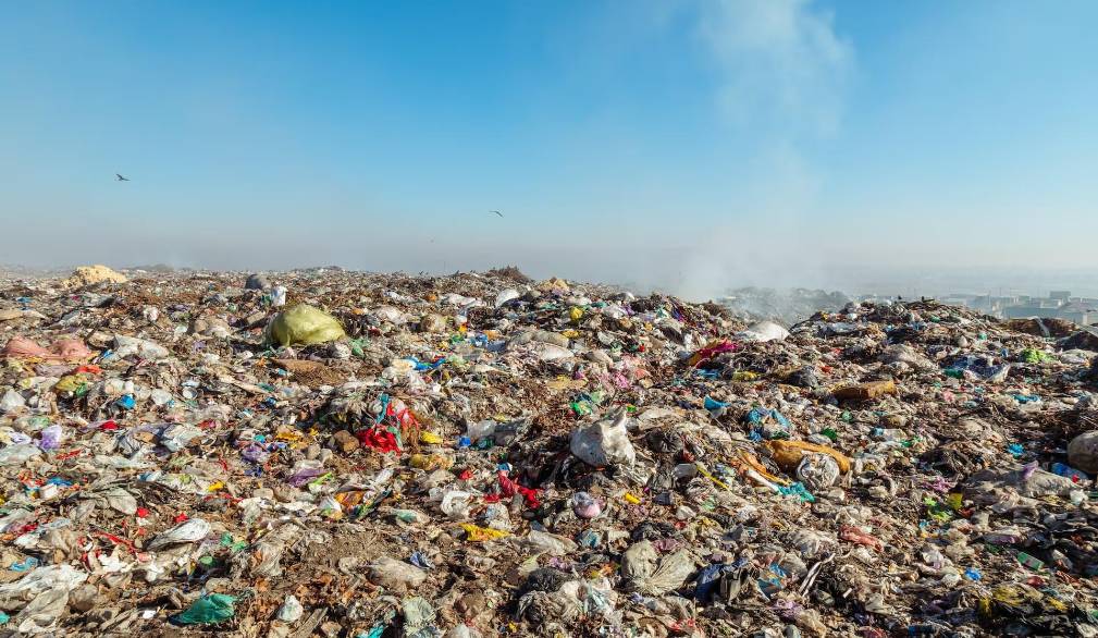 Rapporto Ecomafia di Legambiente: in Veneto 1.186 reati ambientali accertati nel 2025