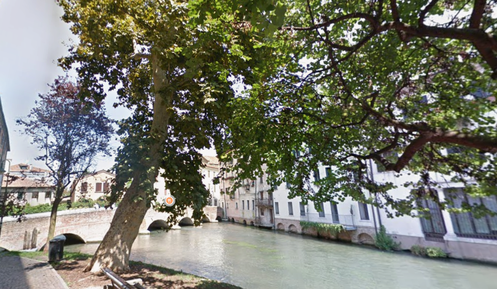 Treviso: sarà abbattuto il platano del ponte di San Francesco
