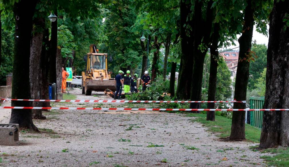 Maltempo a Treviso