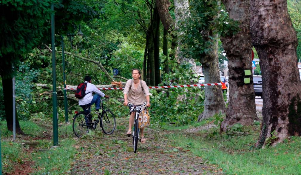 Maltempo a Treviso