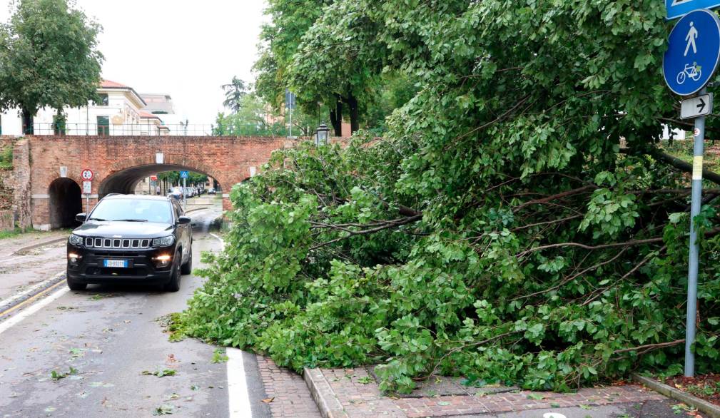Maltempo a Treviso