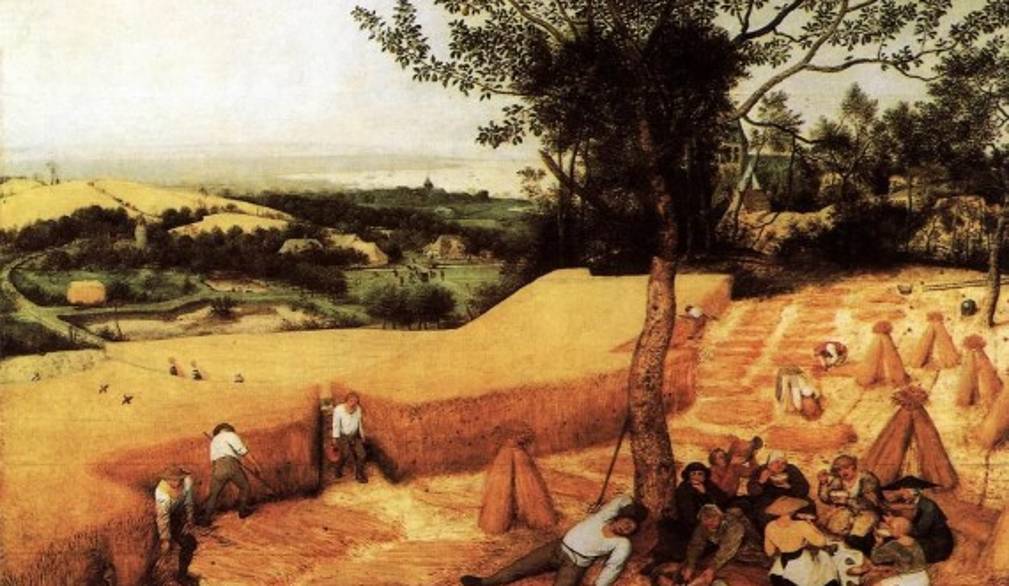 Un Regno di Dio che cresce in modi inattesi - Domenica XVI del Tempo ordinario