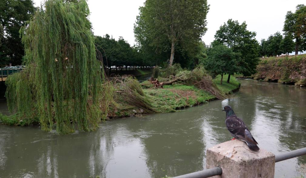 Maltempo a Treviso