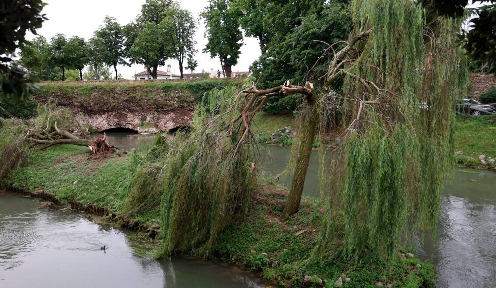 Maltempo a Treviso