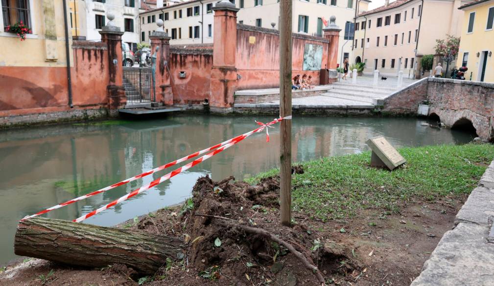 Maltempo a Treviso