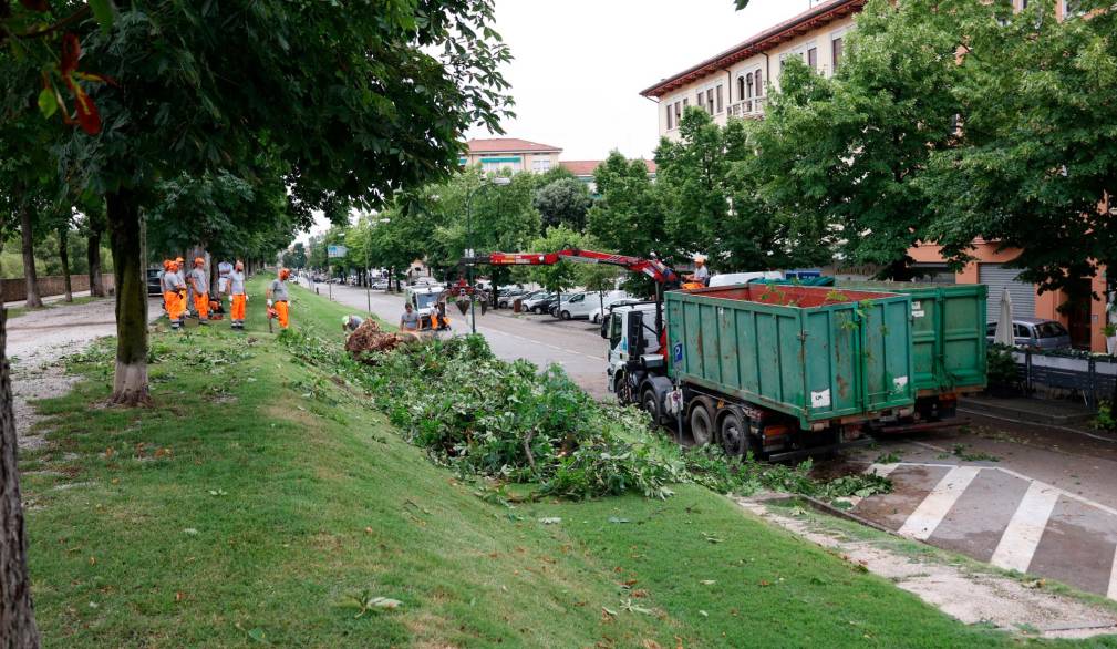 Maltempo a Treviso