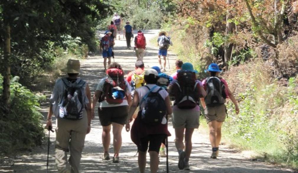 Giovani e santità: una strada bella e possibile