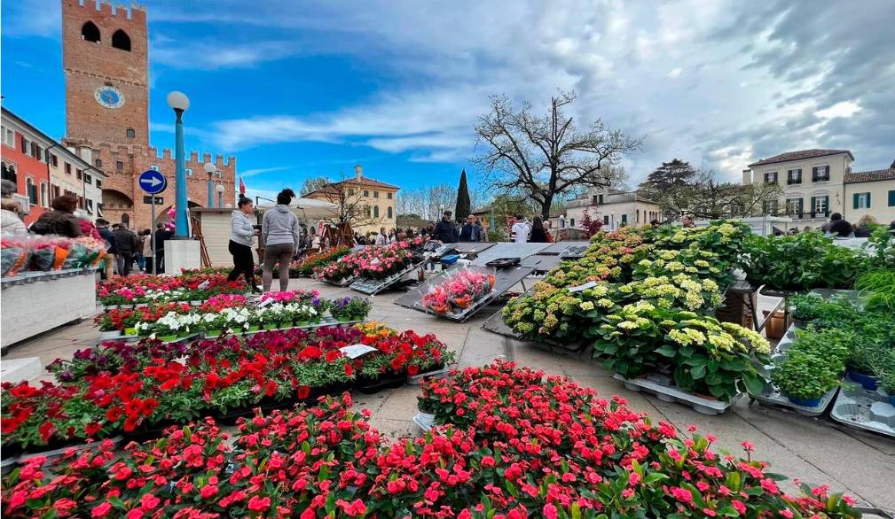 Domenica 12 aprile torna “NoaleinFiore”: a misura di famiglie