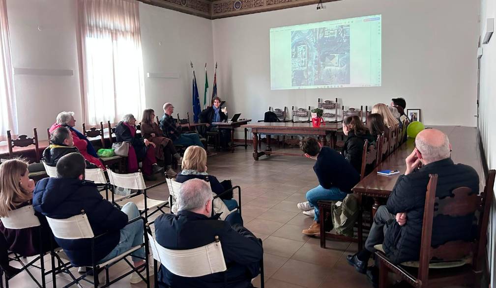 Zero Branco: il Comune vigila sulla “salute” degli alberi