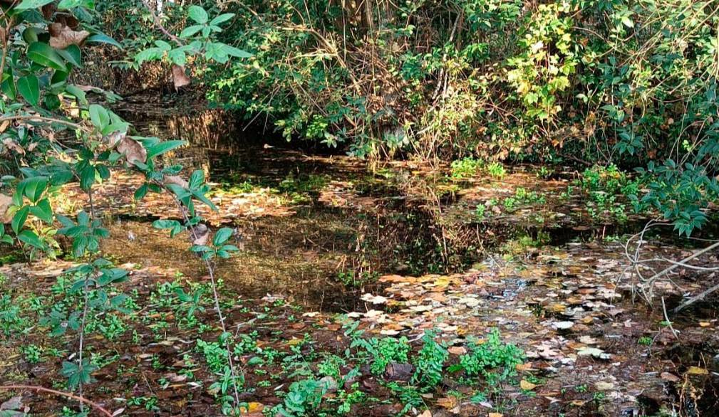Treviso città d’acque “sane”? Risponde Arpav