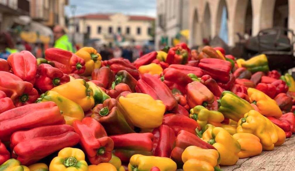 Sagra del peperone a Zero Branco