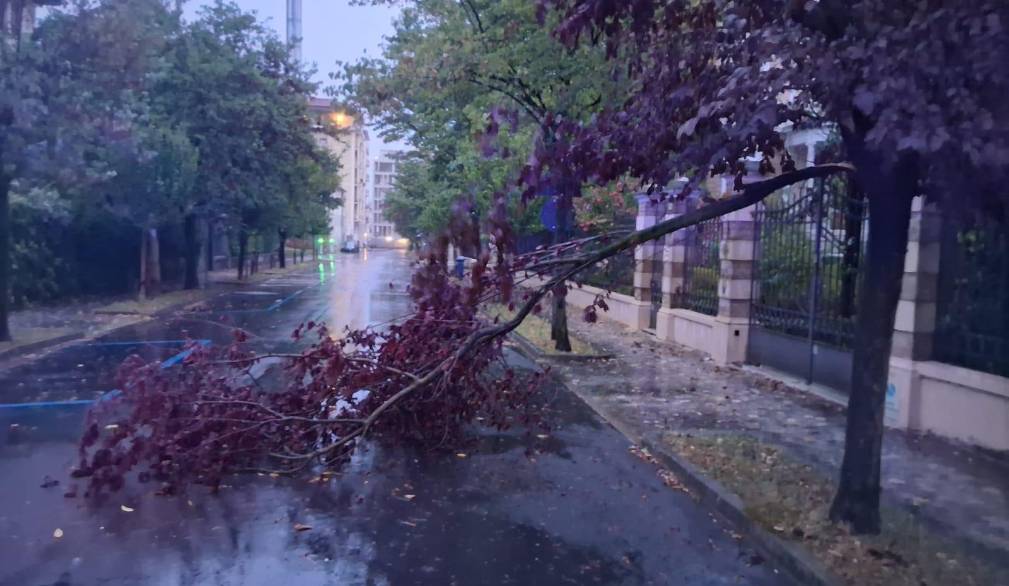 Tempesta sulla Marca: danni anche a Treviso