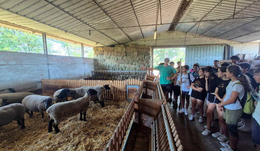 A Villorba il Grest del “buon pastore”: un gregge affidato ai ragazzi di terza media
