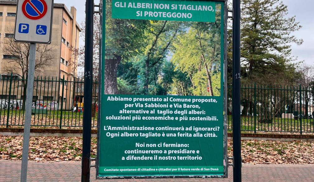Dalla stazione alle scuole, al via a San Donà i lavori per il percorso ciclopedonale. Polemiche sugli alberi tagliati
