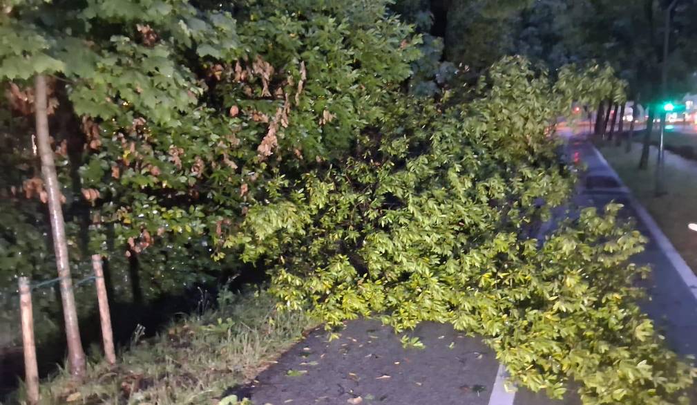 Tempesta sulla Marca: danni anche a Treviso