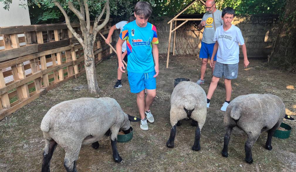 A Villorba il Grest del “buon pastore”: un gregge affidato ai ragazzi di terza media