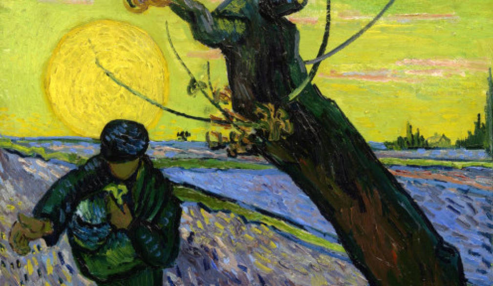 Il seminatore uscì a seminare - XV DOMENICA T.O.