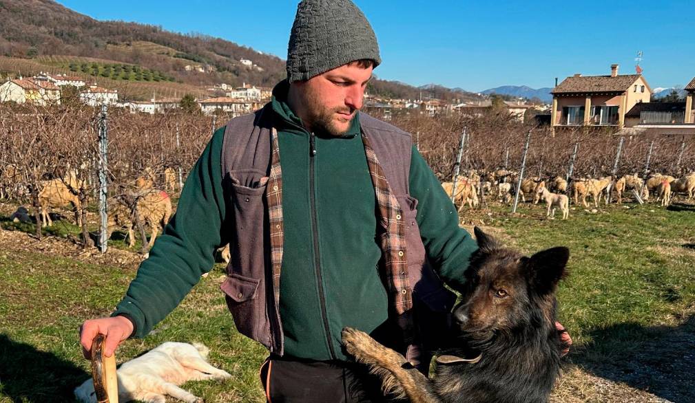 Due ventenni hanno scelto il lavoro duro della pastorizia