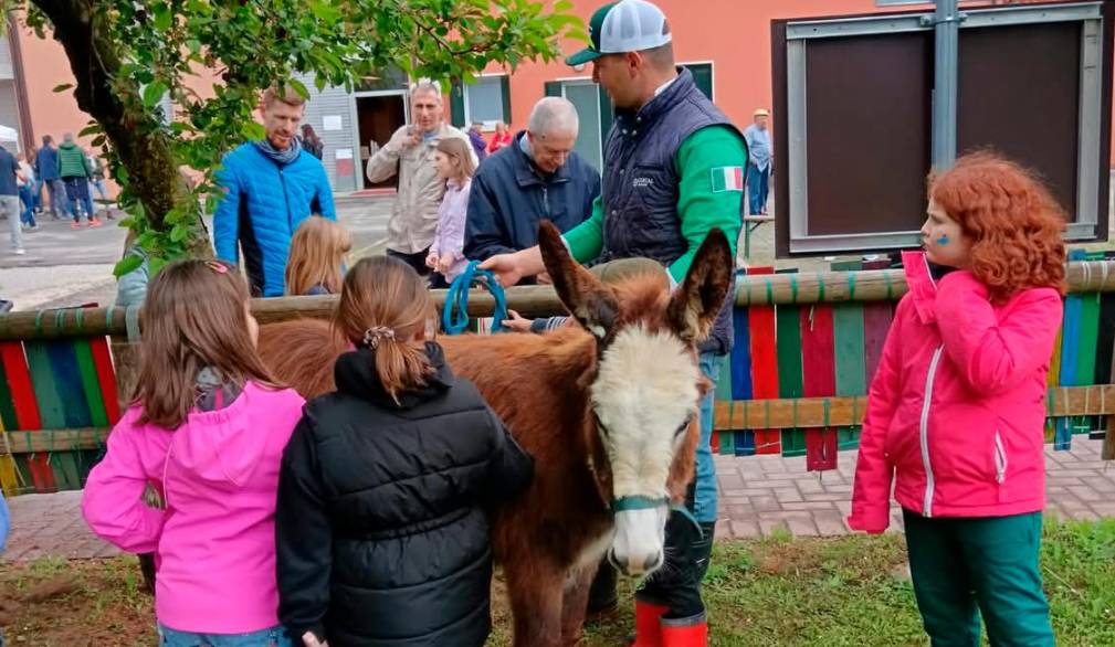 Monigo: torna la Festa della fragola