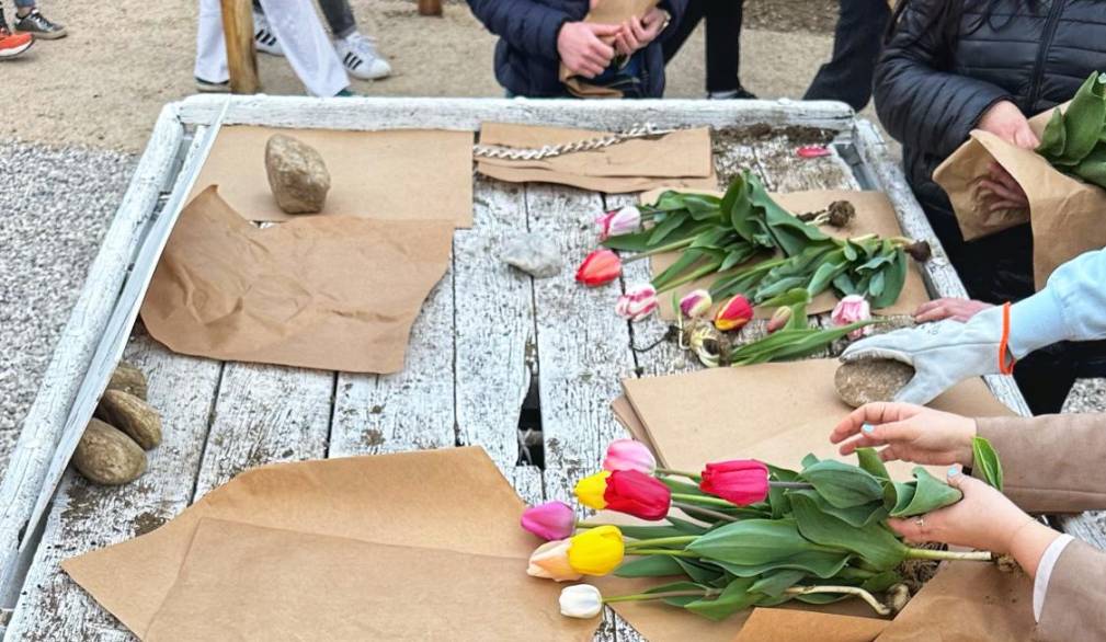 Villorba, Nonno Andrea: dal 21 marzo la raccolta dei tulipani
