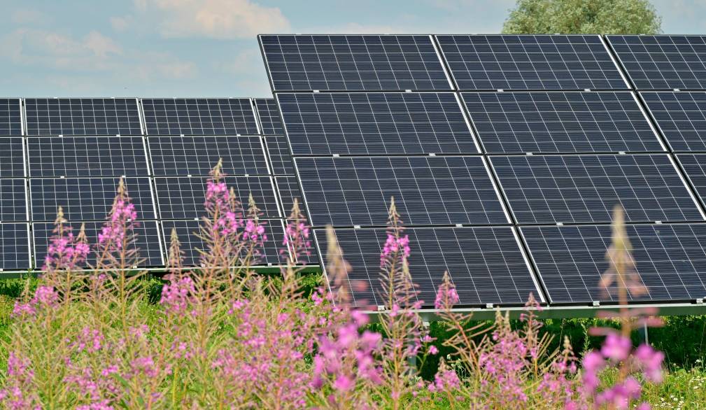 Mogliano: sul fotovoltaico i cittadini fanno ricorso alla Corte europea dei diritti dell’uomo