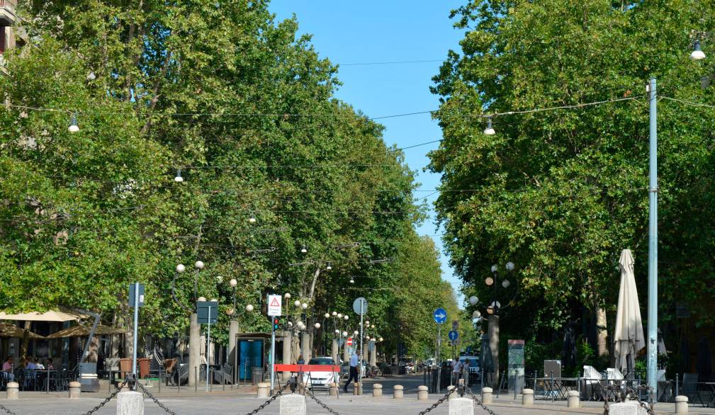 Giornata mondiale dell’ambiente. Prampolini (Wwf): “decisive le azioni concrete”