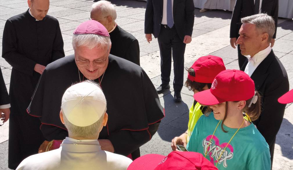 Cresimati trevigiani, l’incontro con papa Leone