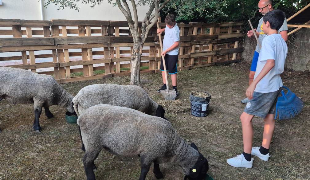 A Villorba il Grest del “buon pastore”: un gregge affidato ai ragazzi di terza media