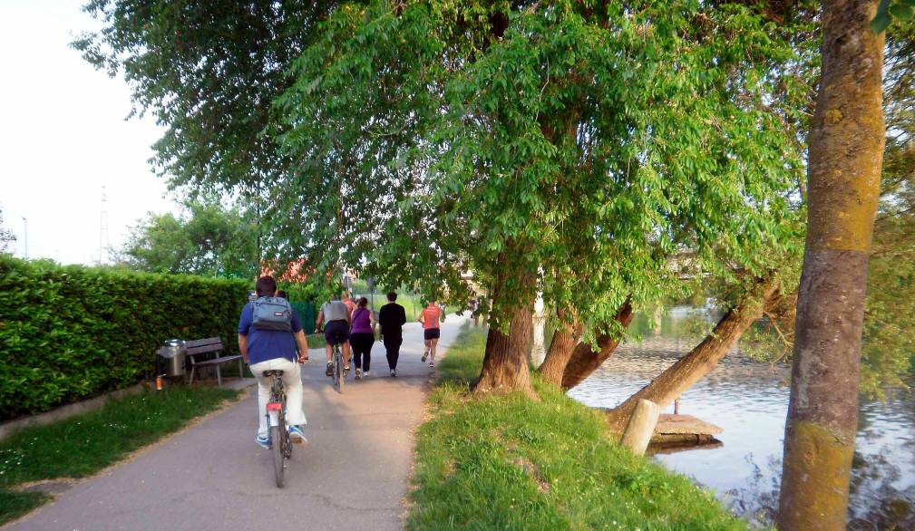 Ecosistema urbano di Legambiente: Treviso 11esima grazie alla differenziata
