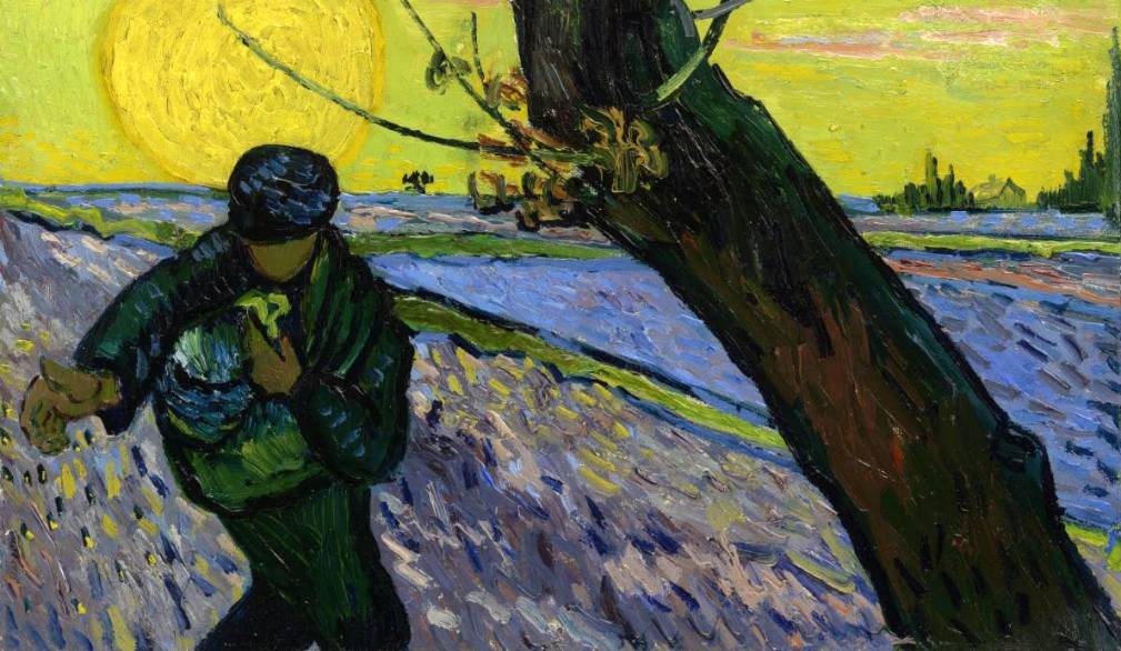 XV Domenica del Tempo ordinario. Lo “spreco” del seminatore