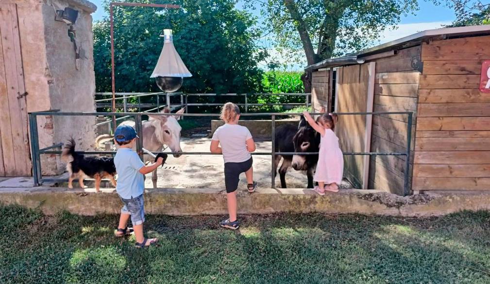 A Ca’ Tron un pezzo di Provenza con “La grande casa rosa”